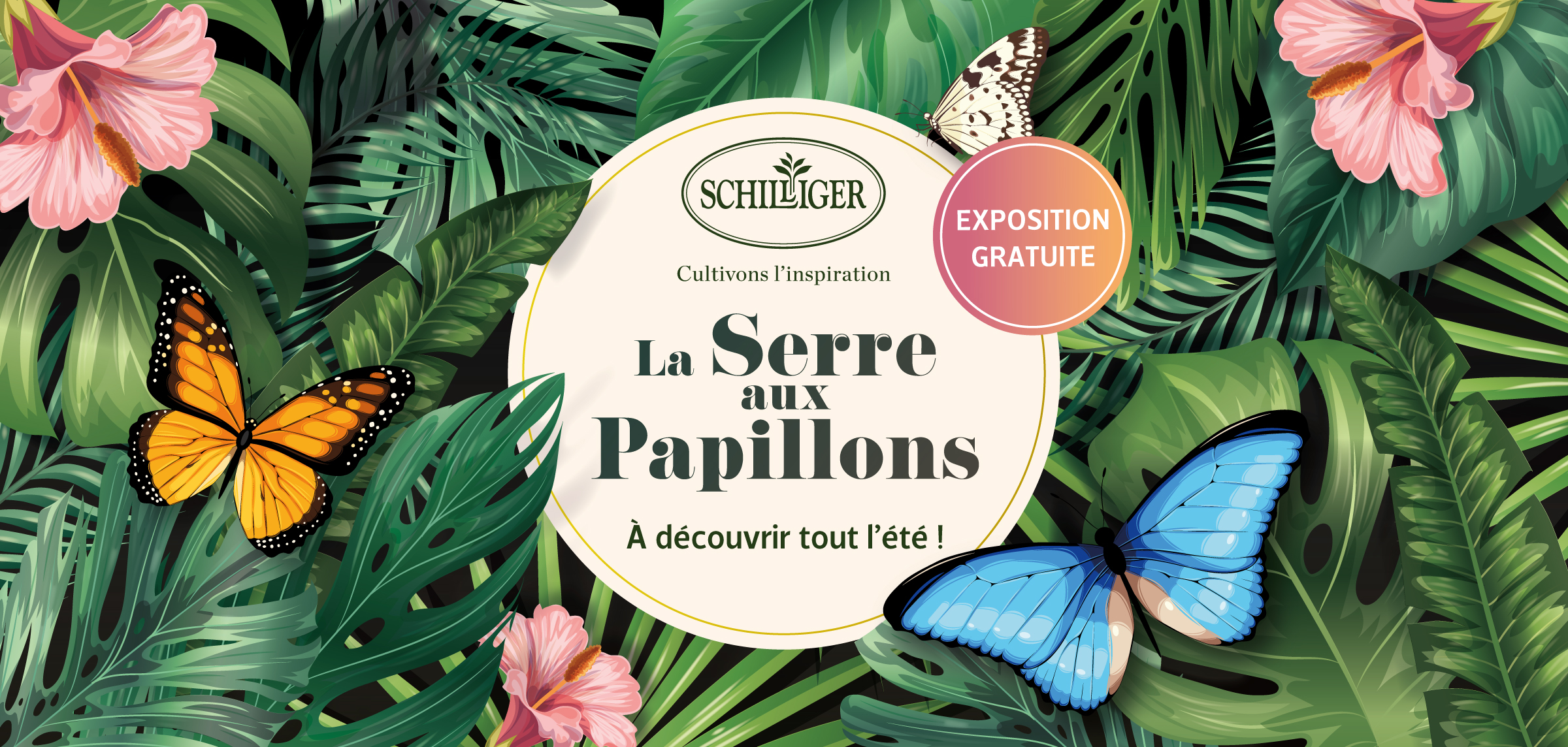 thepurpleside-graphiste-freelance-geneve-reaim-cover